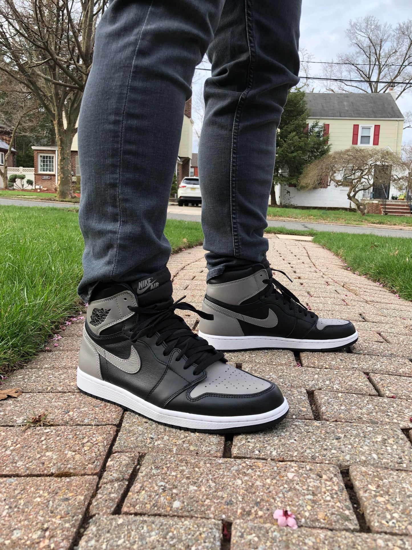 Jordan 1 Retro High Shadows