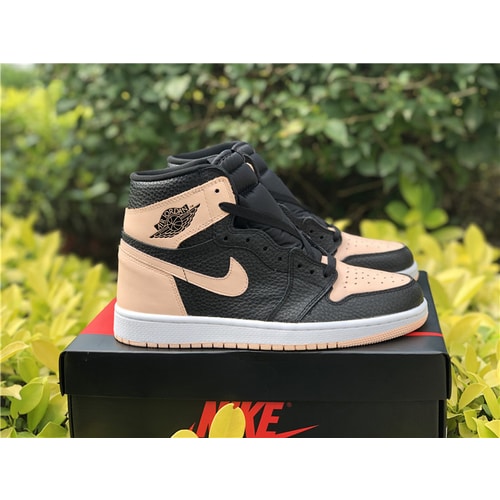 Jordan 1 Crimson Tint